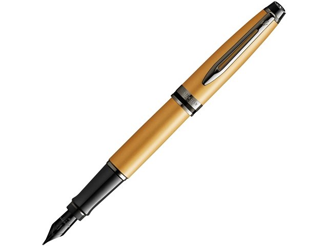 K2119257 - Ручка перьевая Expert Metallic, F