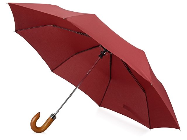 Зонт складной «Cary» (K979078)