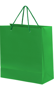 H21071/15 - Пакет подарочный GLAM MINI 24х9х28 см, зелёный