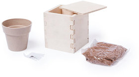 Горшочек для выращивания мяты с семенами (6-8шт) в коробке MERIN, биоразлагаемый материал, дерево (H346223)