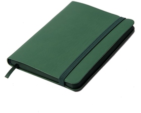 Блокнот SHADY JUNIOR с элементами планирования,  А6, зеленый, кремовый блок, темно-зеленый обрез (H24743/15)