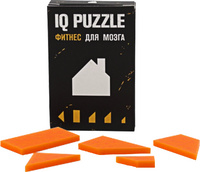 Головоломка IQ Puzzle, домик (P12108.02)
