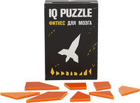 Головоломка IQ Puzzle, ракета (P12108.10)