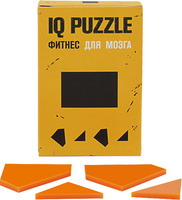 Головоломка IQ Puzzle Figures, прямоугольник (P12110.03)