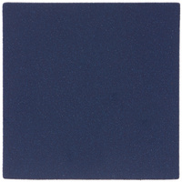 P15944.47 - Лейбл светоотражающий Tao, L, синий