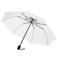 P17907.60 - Зонт складной Rain Spell, белый
